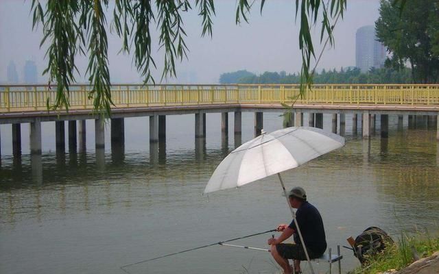 钓鱼|夏天下风口真的好钓鱼，只是要找对位置，还要用对方法