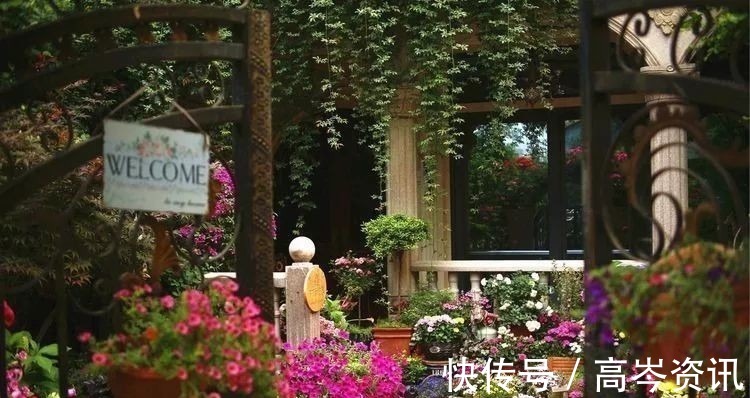 小区|坐拥270㎡大院子,她如何用五年时间,打造成了全小区最美的花园