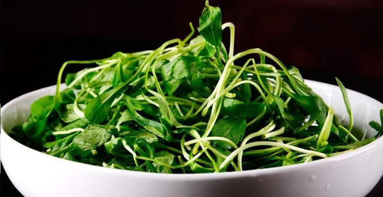 夏天必吃的最佳养生菜，强身健体、润肠通便，长寿老人说保健康！