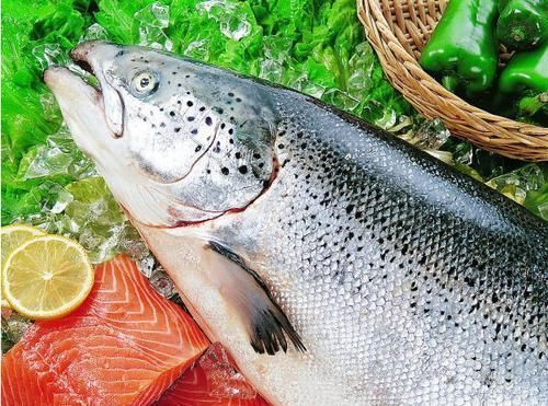 血液|一旦发现血脂高,6种食物要多吃,帮你净化血液, 血脂自然消