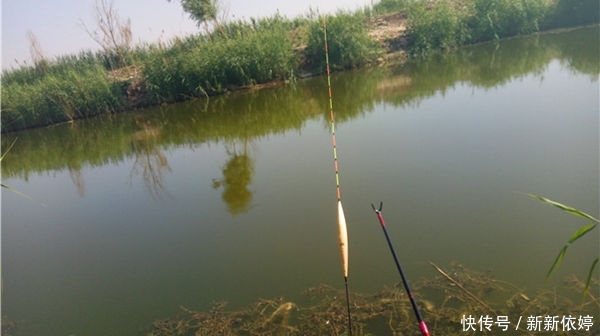 基本原则|浮漂选用的3大基本原则，野钓、黑坑都适用，钓鱼人的必修课