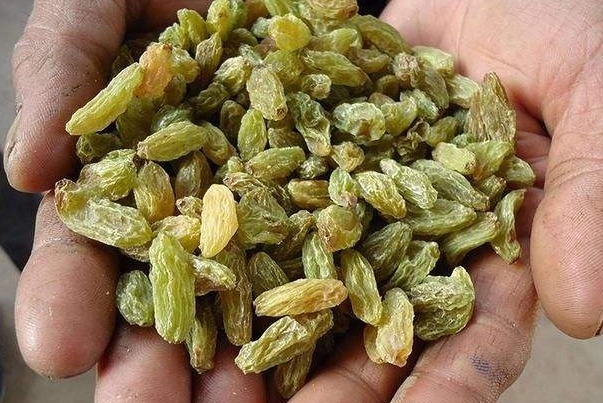 老年人|早上吃一把葡萄干，堅持1個月，4大好處不請自來，尤其適合老年人