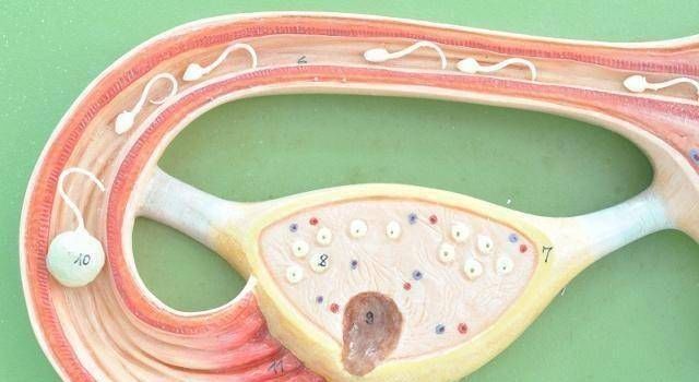 生育能力|夫妻的最佳“年龄差”是多少若相差这个数,就偷着乐吧,真幸运