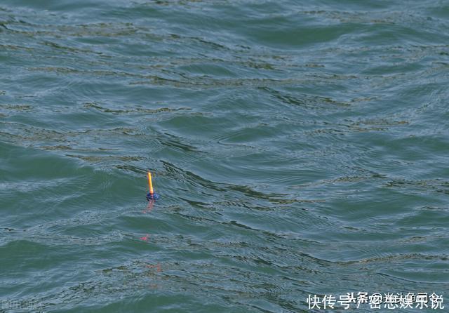 浮漂|鲫鱼都是送漂？谣言！这7种漂相都是鲫鱼吃钩，看你错过多少鱼