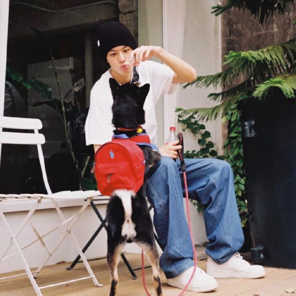 爱不释手|微信头像 爱不释手