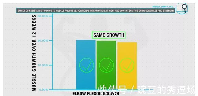 肌肉|一套完整实用的「居家健身」指南,0器械练遍全身肌肉