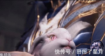 奥斯卡|斗罗大陆137唐三荣荣亲切耳语,奥斯卡兔子小舞疯狂吃醋