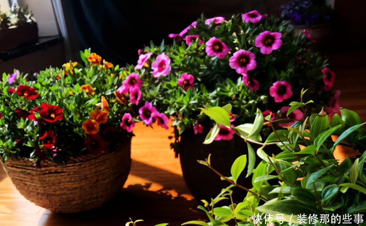 油烟机废油入土前需要做哪些处理,为养花人,该早点知道