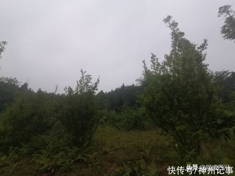 蓬安|逛游百牛赞歌广场，这里风景独好