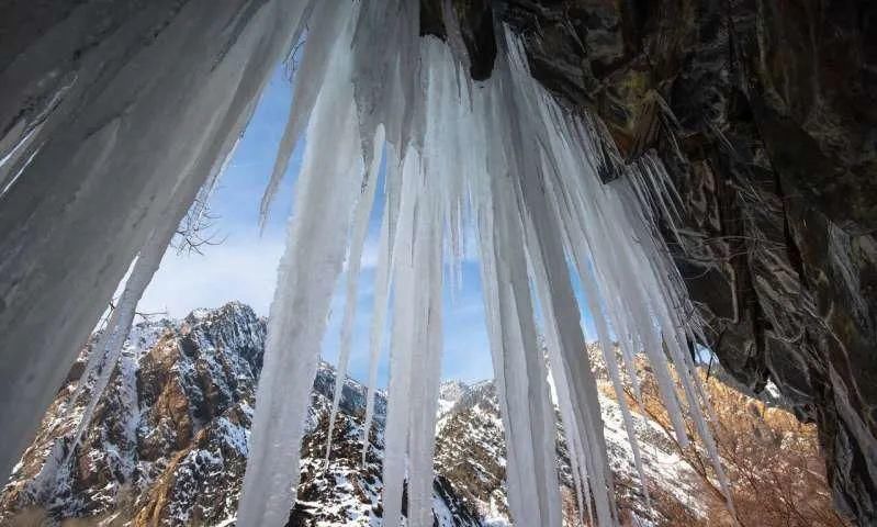 2020年十大科学发现