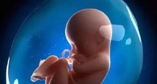 画面|孕妇睡觉的时候,胎儿在做什么呢画面太美不敢看