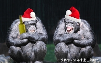 轻松一刻:孩子们,现在知道学外语的重要性了吗