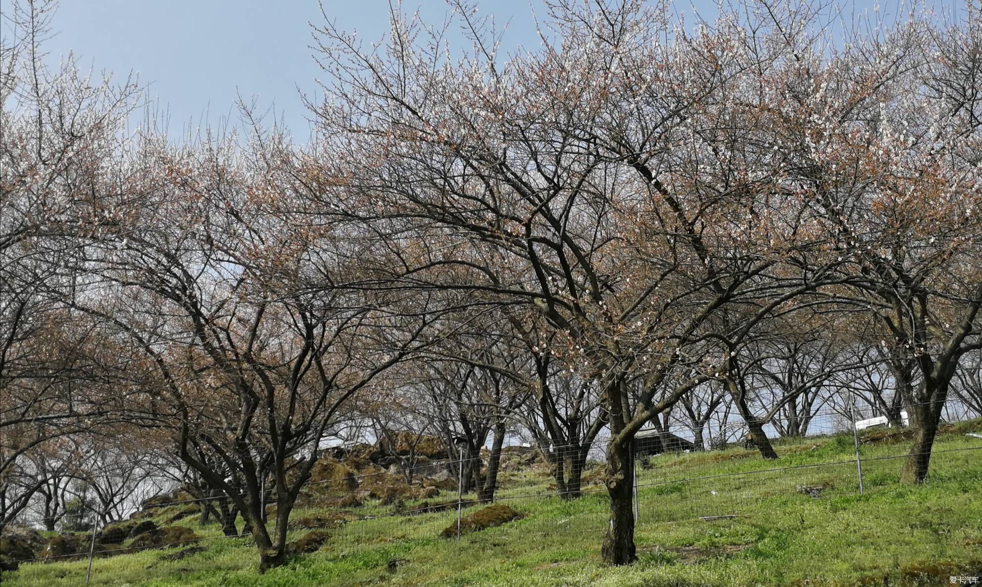 重游大坪山