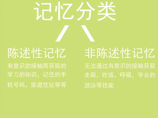 信息|为什么婴儿3岁后，以前的记忆都没了？心理学：是“童年失忆症”