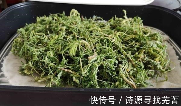 产量|日本人每天必吃的“长寿菜”,我国产量大但没人吃,含钙比牛奶高!
