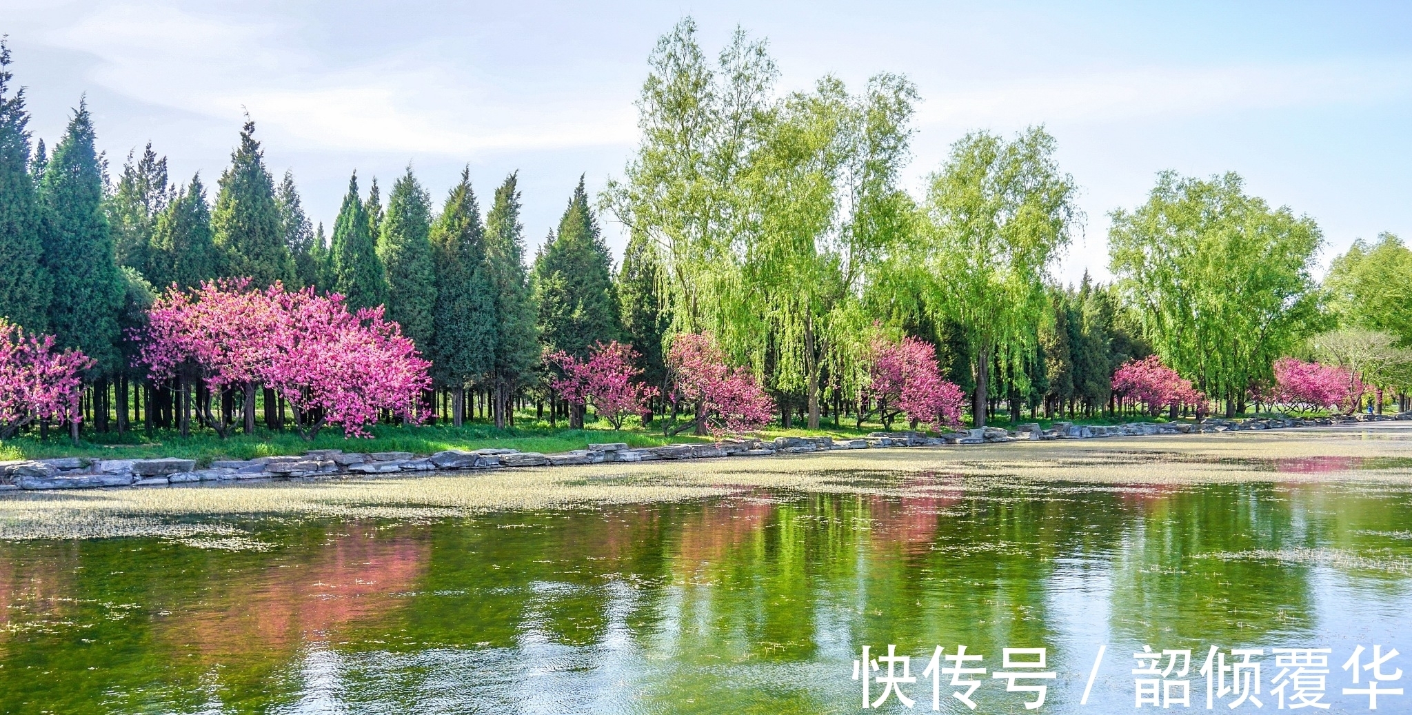 春风$还家五度见春容。杨万里晚年辞官归隐后写的一首早春诗,值得欣赏