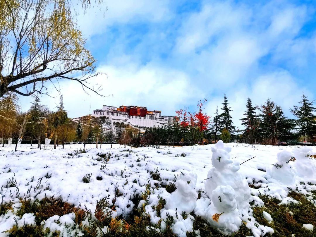 今天，拉萨下雪了！