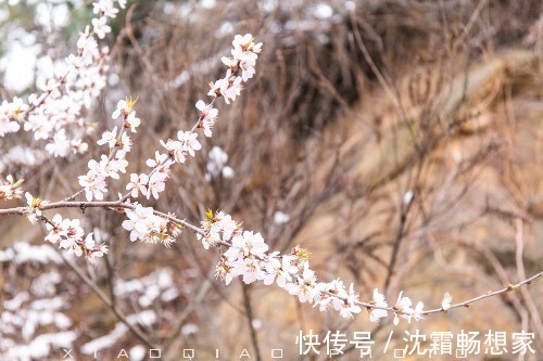 孤单星球$世界文化遗产中最美这一段长城，曾被《孤独星球》多次推荐