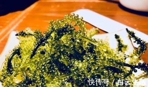 长茎葡萄蕨藻|西餐的桌子上放的“小葡萄”能吃吗若放着不吃,会遭服务员嘲笑