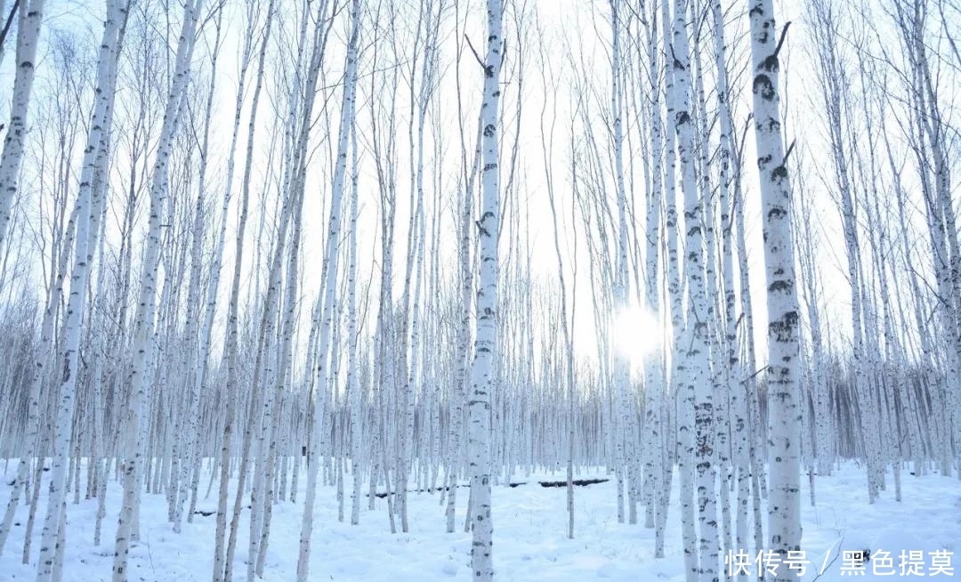 比东北“亚雪”还美的公路，这条小众边境天路，资深驴友都想去！