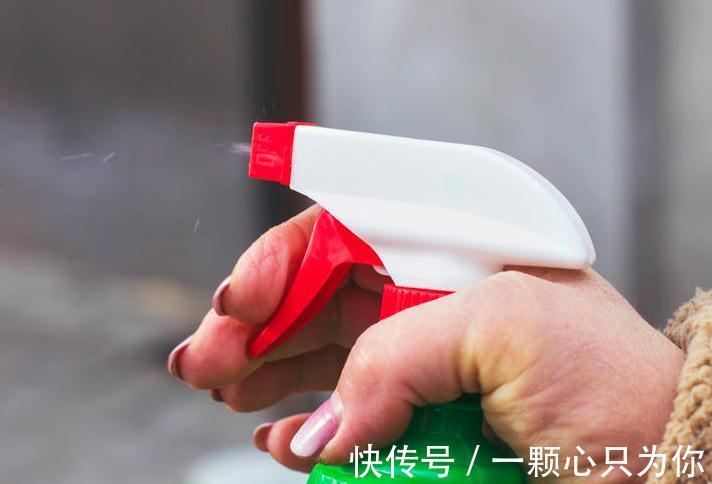 养花干货第六期，8个坏习惯会让你成为花卉杀手，你占几个