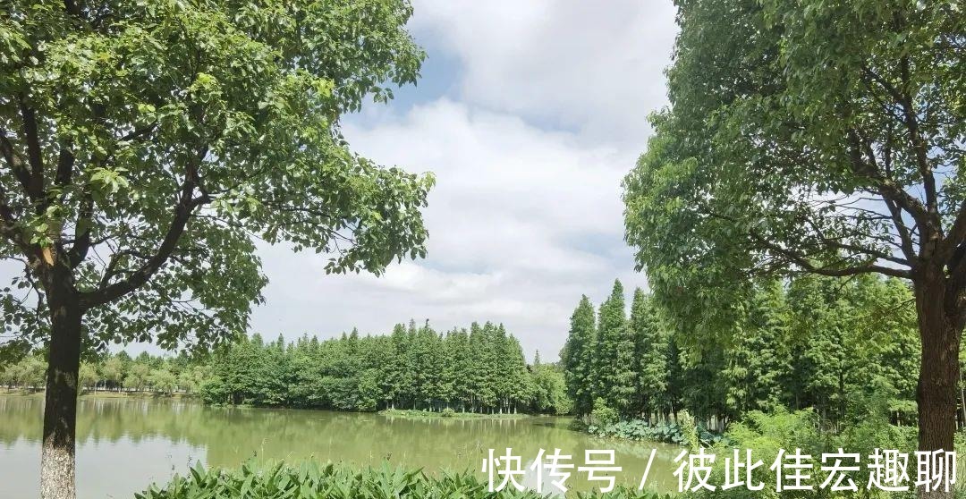 南昌|沿衢深树，夹岸繁英 ‖ 南昌艾溪湖湿地公园