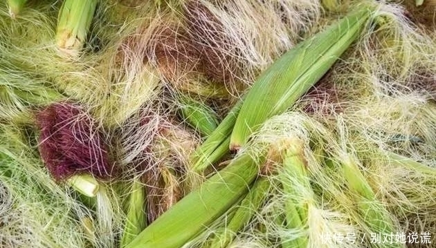 降糖|玉米须泡水喝,有4大功效,记住“一个搭配”,功效翻倍!