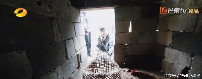 向往的生活 小绵羊掏鸡蛋家人疯狂打call,“老狐狸”黄老师还在背后使坏