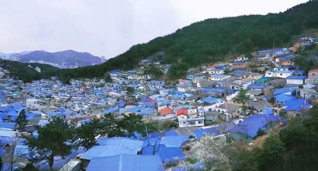 真相|月入一万难买房？泡菜99%来自中国？去了韩国我才知道的10个真相