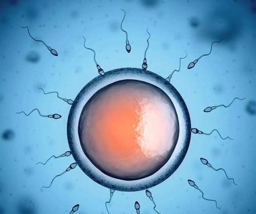 医生|夫妻备孕半年一直怀不上,去医院检查后,医生的话让他们恍然大悟