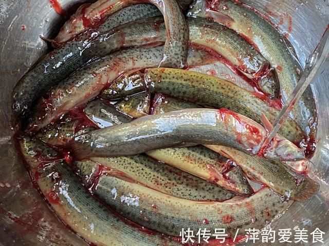健康|泥鳅要不要掏内脏?很多人搞不明白,为了家人的健康,不妨看一看