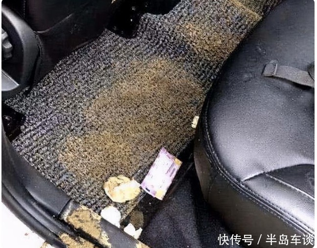 小树林里|共享单车“黄了”,车内一片狼藉,集体被扔小树林