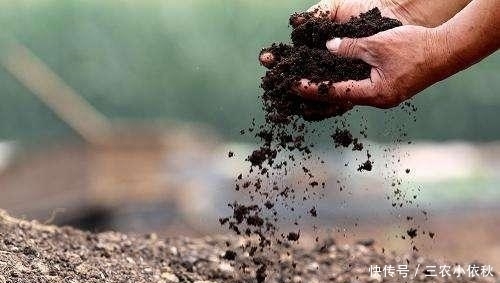 养花换盆的旧土别扔, 简单2步, 旧土变新土, 养花效果嗷嗷的