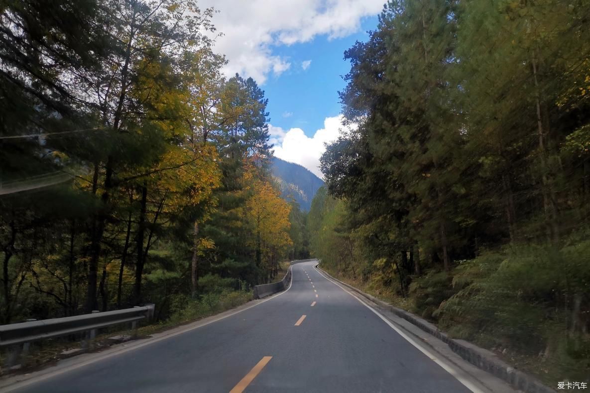 独自自驾游 欣赏最美的岗云杉林 体验环藏之旅的慢生活