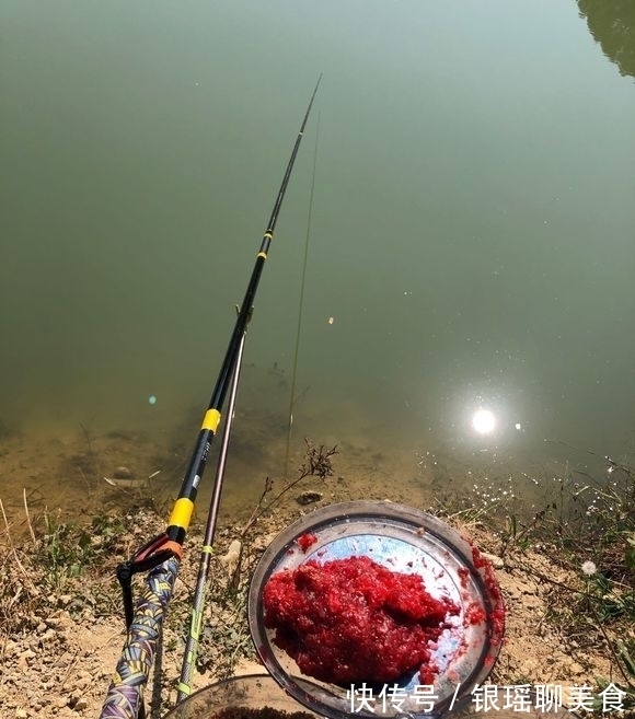 窝里鱼很多就是不开口？分析不开口原因，解决后大概率狂口！