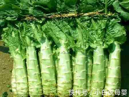 天敌|别看它不起眼,却是痔疮“天敌”,早餐吃一点,帮你缓解痔疮痛!