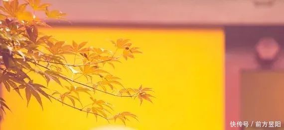 忠告|老祖宗忠告：“三更莫贪色”，后半句才是重点，多数人却做不到