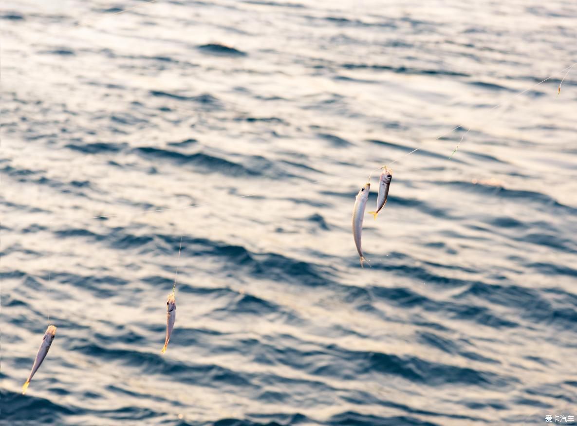 打卡土耳其 把最美的暖间留下来 体验最深度的穷游