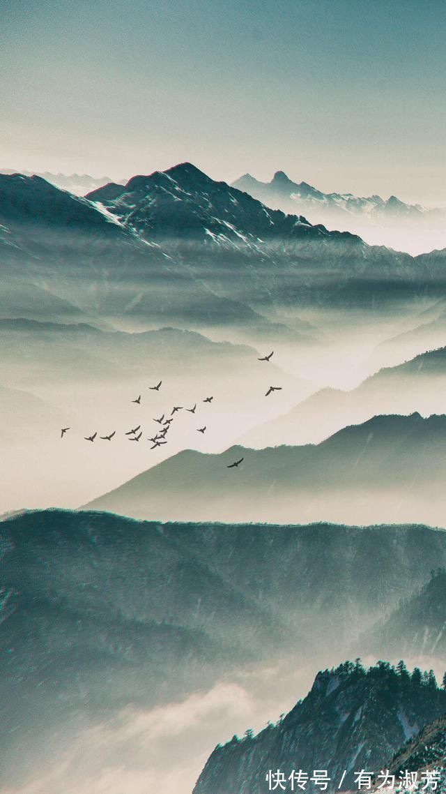 佳节$杜牧很著名的一首诗,秋天与老友一起爬山,短短8句清新流畅