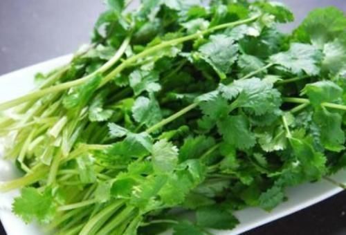 小艳|天然“感冒药”终于找到了，用它煮水喝，止咳化痰效果好！