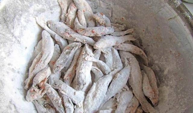 这种小鱼全是肉,买一斤5块钱给老公做了下酒菜,饭店要四十块钱