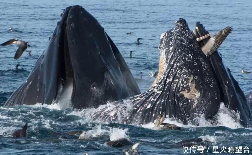 明令禁止一大旅游项目，发现一次打击一次，中国不会留情