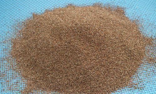 横切面|发财树烂根了怎么办?用小方法来试试,半月就生根