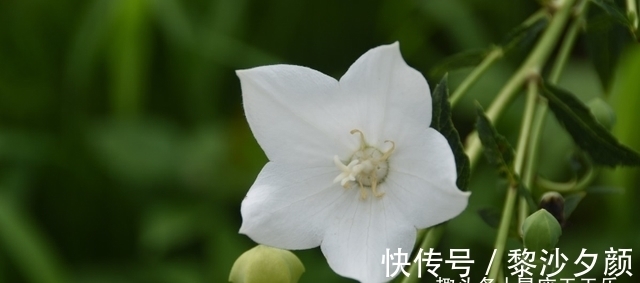 好运|金牛座：锦上添花，掉进存钱罐