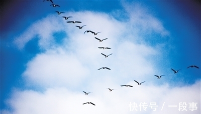 俎豆$李贺很冷门的一首送别诗,构思精巧,更显得别开生面