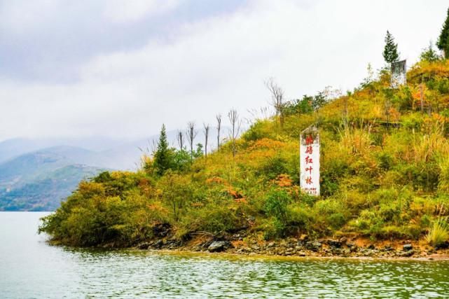 我国最值得观赏的奇观之一，山峰造型奇特，水十分清澈，四季都美