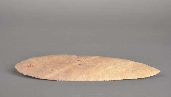 石片|学生意外捡到一块石片,专家花10块买走,如今为何成为一级国宝