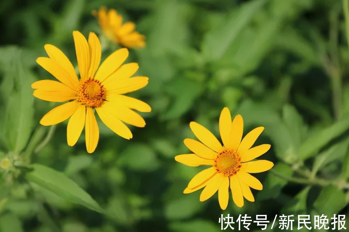 中秋|9月20日·上海要闻及抗击肺炎快报