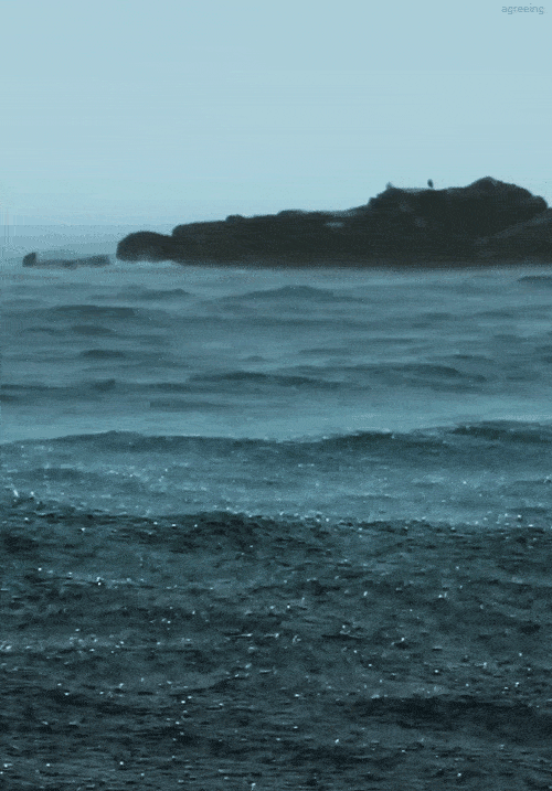 |搞笑GIF趣图:你这是想让垃圾桶背你回去?喝大了吧