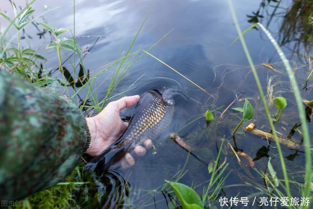 鱼类|夏季野钓总没口找钓位注意这4类地方，天热大鱼易扎堆